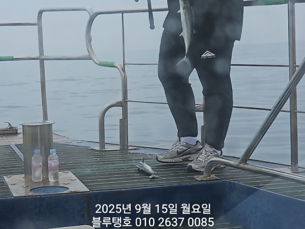 20250915_135627.jpg