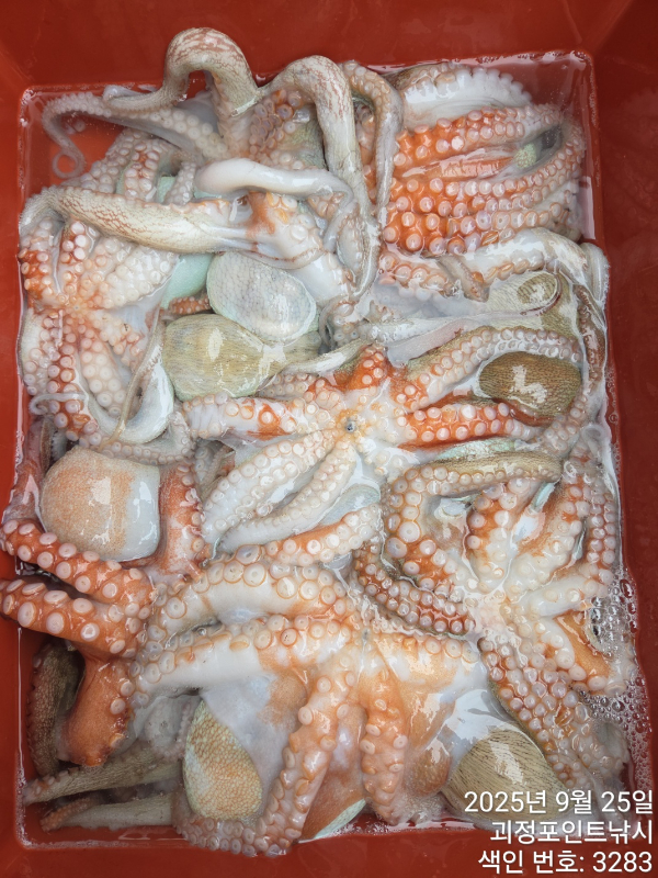 KakaoTalk_20250925_145022409_06.jpg