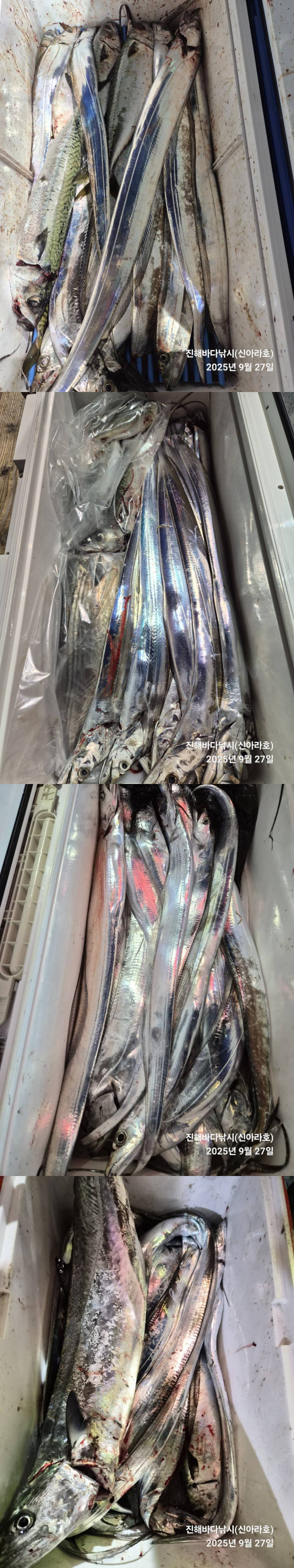 이어2.jpg