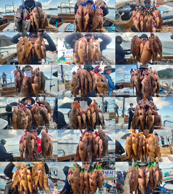 04TimePhoto_20250906_152710-tile.jpg