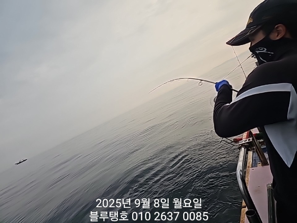 20250908_181454.jpg