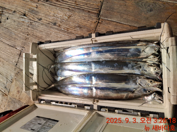 b5409ec82099b2a18fcdef16abdfb676.jpg