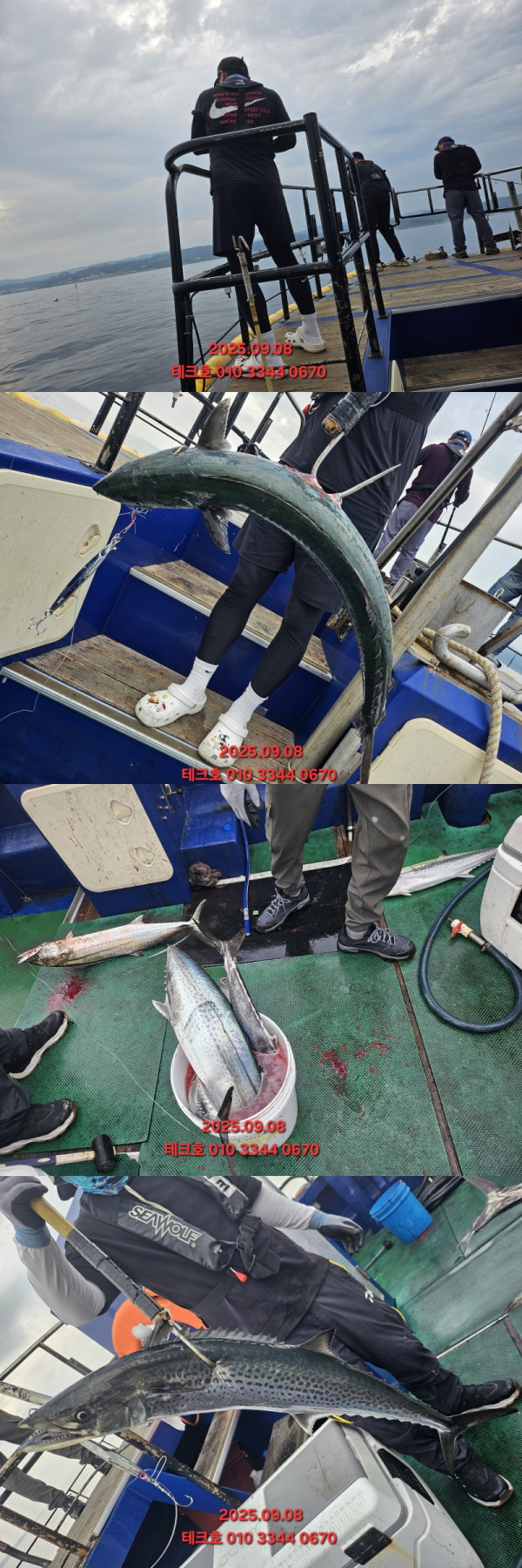 KakaoTalk_20250908_175742830-vert.jpg