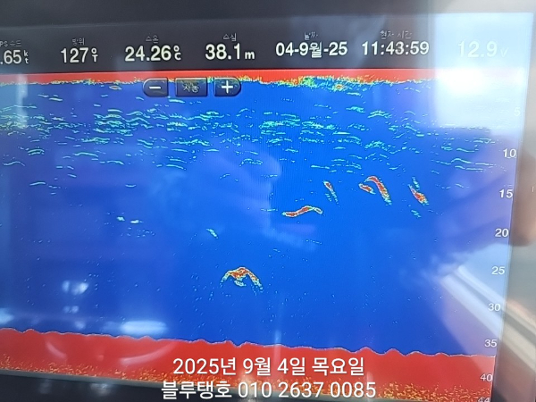 20250904_114400.jpg