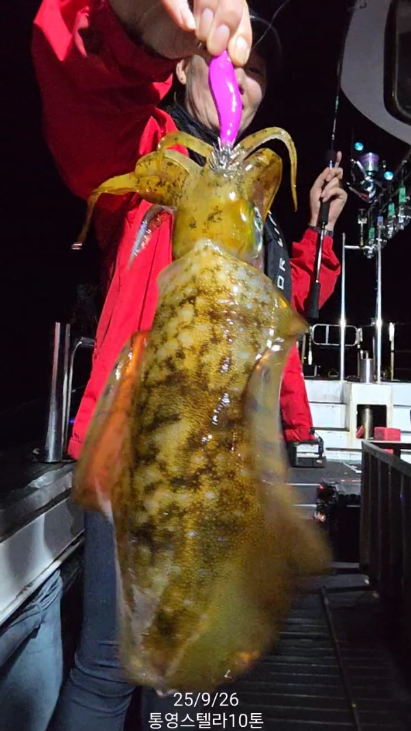 TimeVideo_20250926_233137.jpg