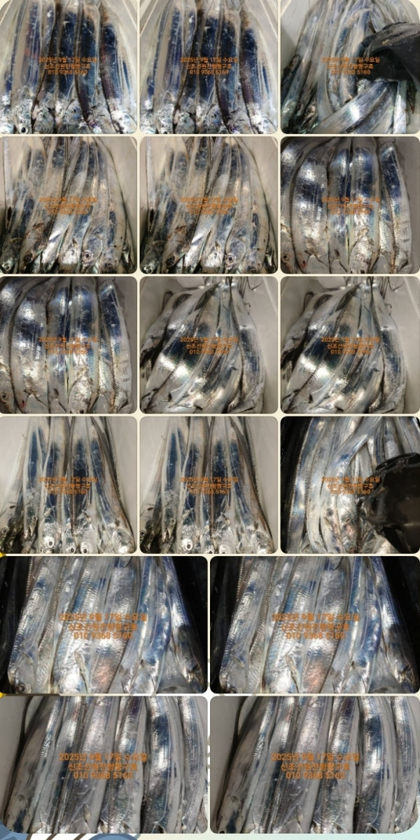 KakaoTalk_20250917_123742768.jpg