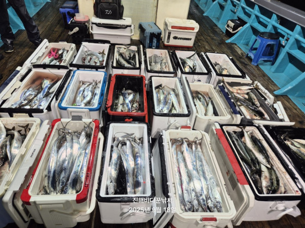 바다꾼낚시(신아라호)_사진_20250918_2.jpg