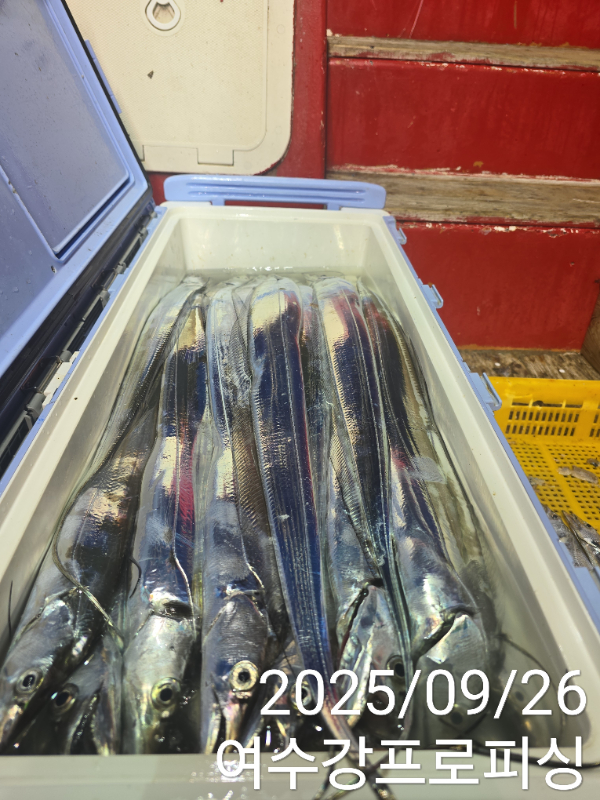 b73fbcbd39ed3486ad8a4270c075aace.jpg