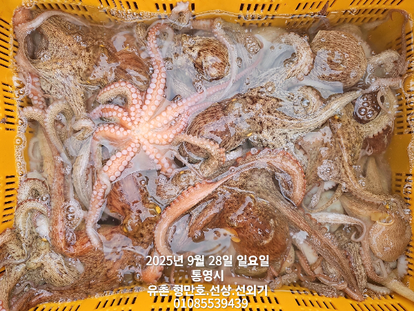 b752e879403d4106c7d1422a0d524e53.jpg
