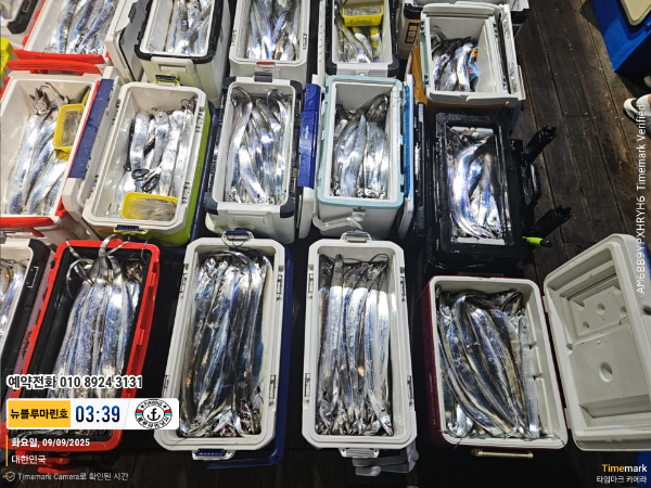 2025-09-09 03.39.41_대한민국_(제목-뉴블루마린호)_(예약전화 010 8924 3131).jpg