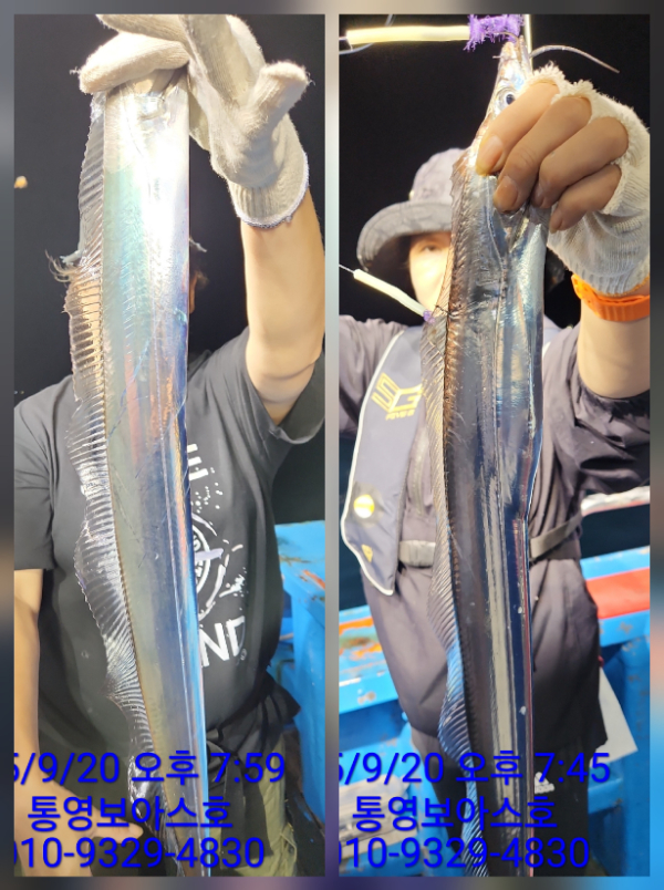 b840f522bab19e1a0d64be77d06bef18.jpg