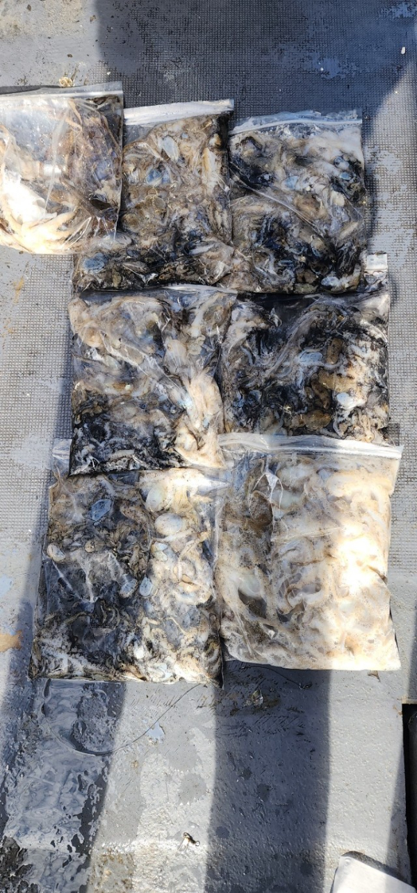 예지퀸호 농어외수질&어초낚시 경기인천권_사진_20250904_5.jpg