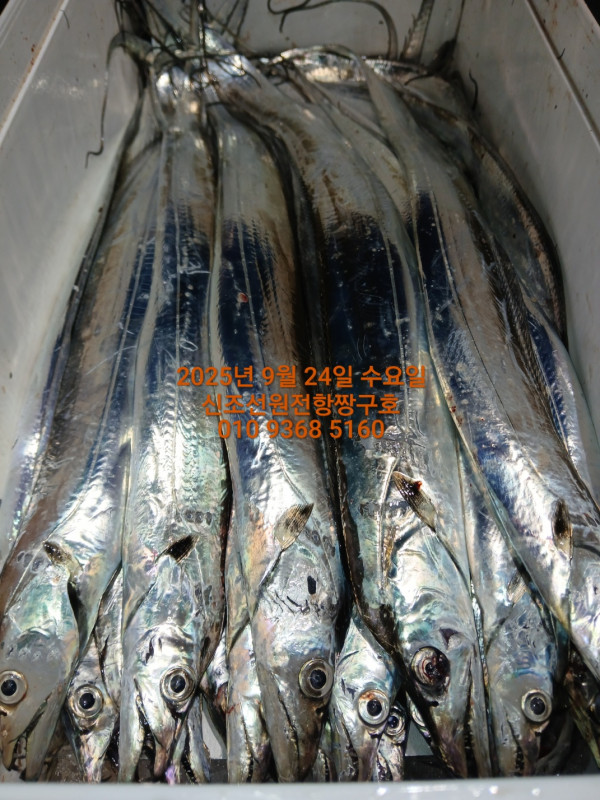 KakaoTalk_20250925_033543935.jpg
