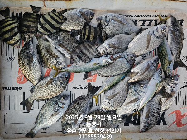 b9a7774228e70ca79965cf29b62a36ff.jpg