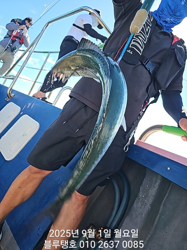 20250901_094110.jpg