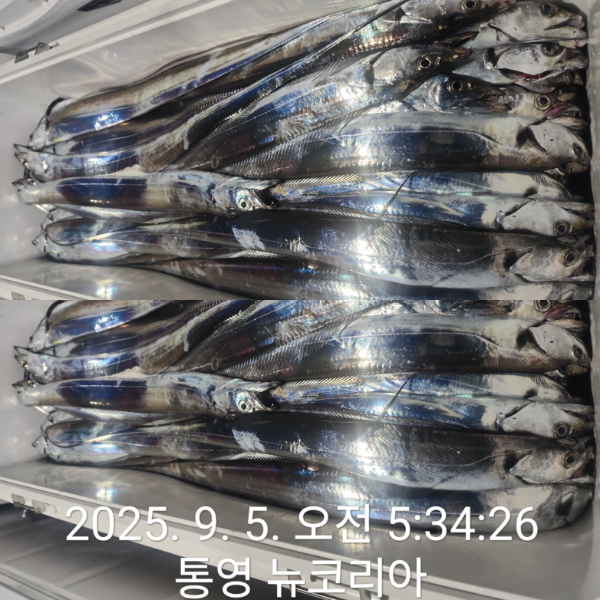 1000071535.jpg