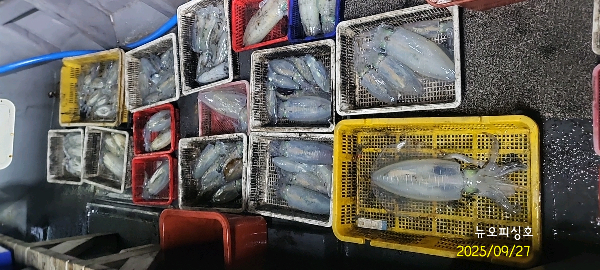 DateCamera0927004159.jpg