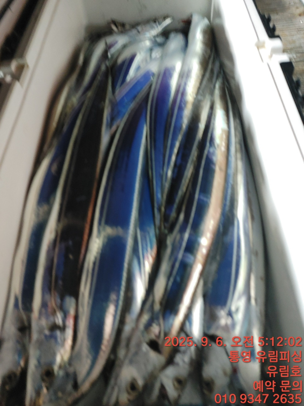 ba7aec532f9ef5d54a77e7c877031062.jpg