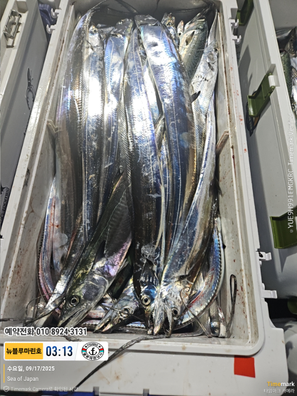 2025-09-17 03.13.43_Japan_(제목-뉴블루마린호)_(예약전화 010 8924 3131).jpg