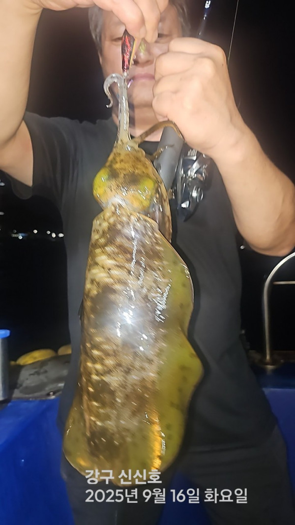 신신낚시 강구점 신신호_사진_20250917_2.jpg