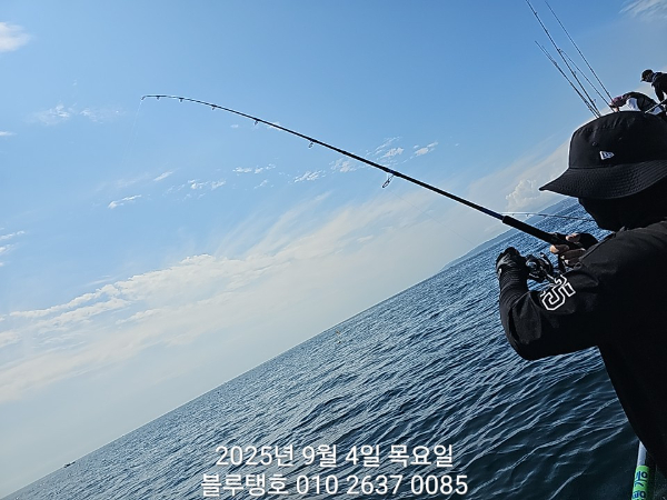 20250904_105340.jpg