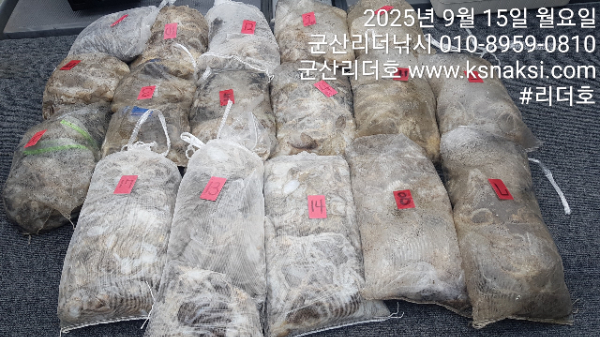 KakaoTalk_20250915_152811058.jpg