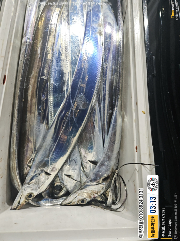 2025-09-17 03.13.47_Japan_(제목-뉴블루마린호)_(예약전화 010 8924 3131).jpg