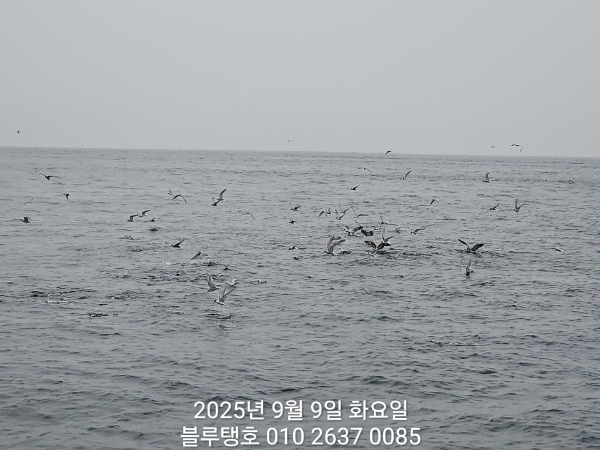 20250909_154909.jpg