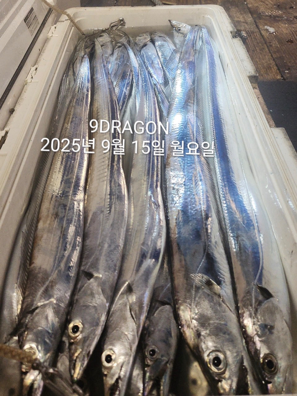 05D06BFB-C29A-4920-ACEC-7C394A4397CC.jpeg