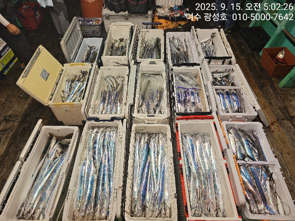 KakaoTalk_20250915_100834010_15.jpg