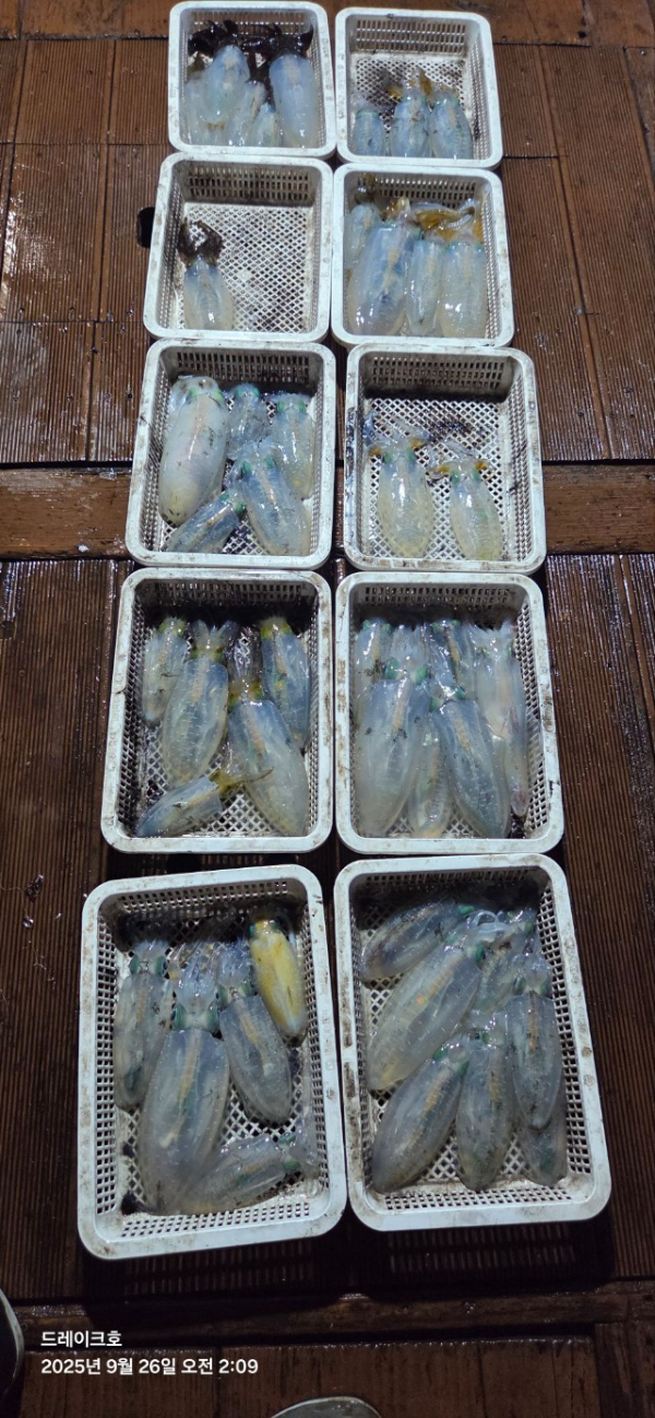 8367.jpg