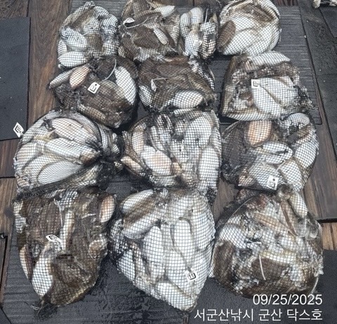 군산 선상낚시, 바다낚시 출조 전문 ☆서군산낚시☆_사진_20250925_1.jpg