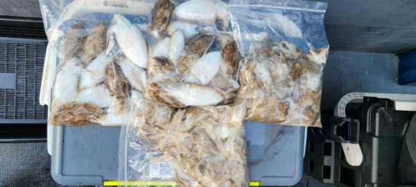 예지퀸호 농어외수질&어초낚시 경기인천권_사진_20250914_5.jpg