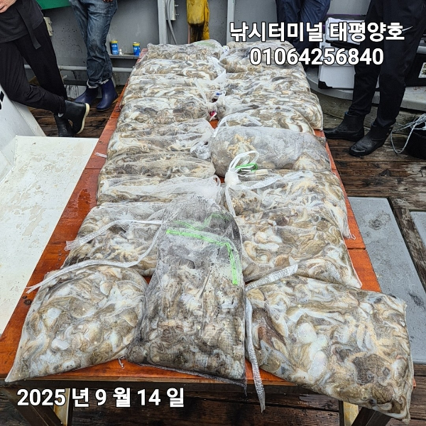 KakaoTalk_20250914_152500953_02.jpg