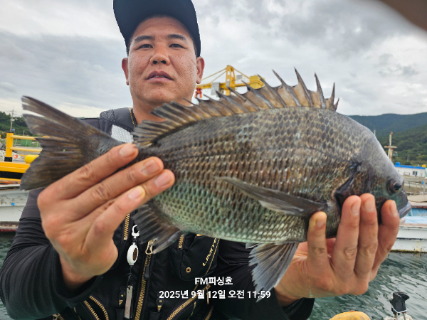 bc5b0365fbce8e8915949399339c90a6.jpg