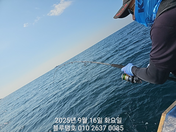 20250916_094300.jpg