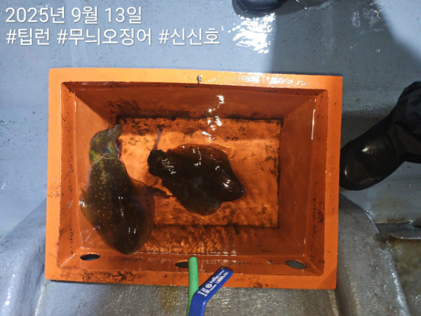 신신낚시 강구점 신신호_사진_20250913_9.jpg