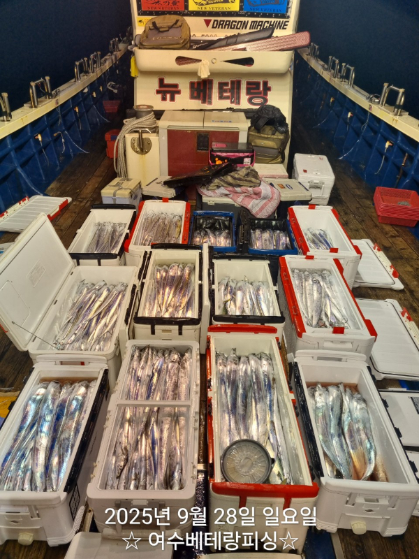 bc905183fe13876e17ed60aa2cac9c75.jpg