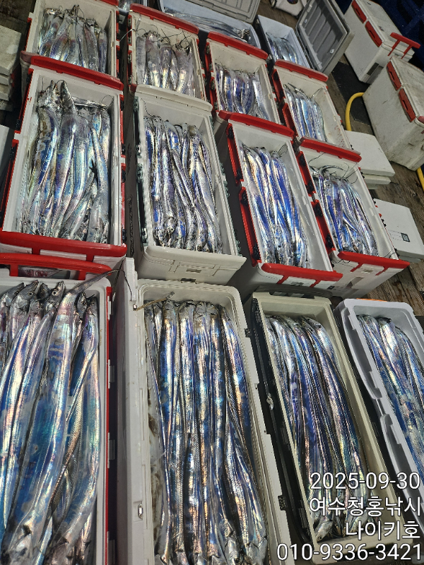 bcad23f383f16885e9278ababce1cd1e.jpg