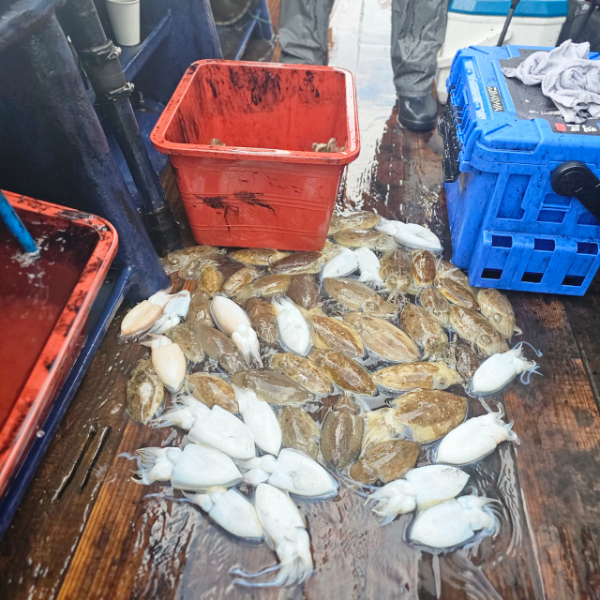 마검포 대한호(VIP)_사진_20250925_6.jpg