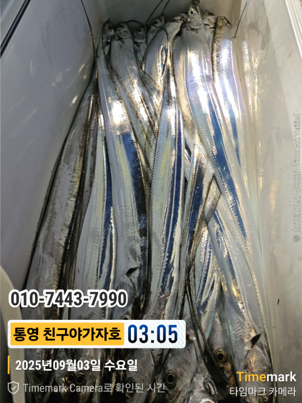 1000027243.jpg