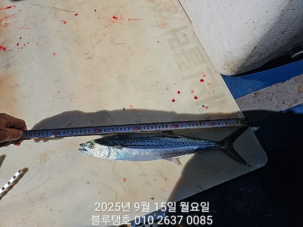 20250915_102354.jpg