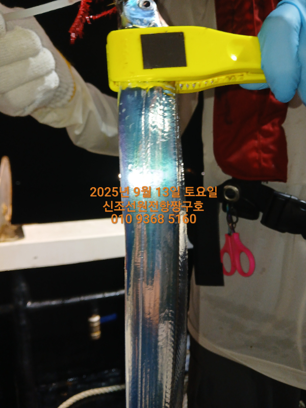 KakaoTalk_20250913_200644729_02.jpg