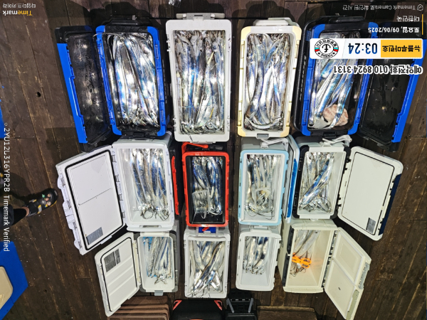 2025-09-06 03.24.43_대한민국_(제목-뉴블루마린호)_(예약전화 010 8924 3131).jpg