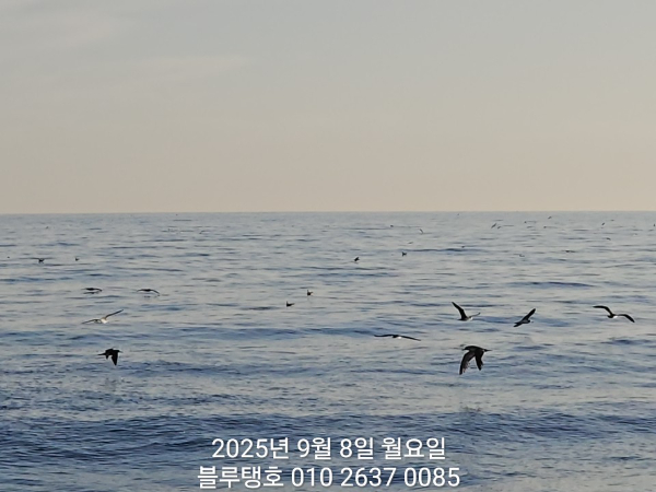 20250908_063756.jpg