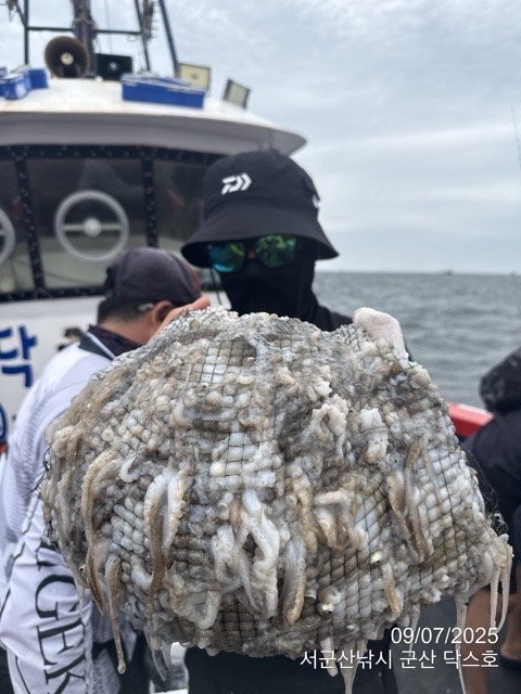 군산 선상낚시, 바다낚시 출조 전문 ☆서군산낚시☆_사진_20250907_6.jpg