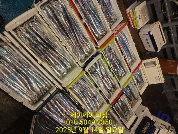 be9d66321588ac0411b5a2f6794cd2dd.jpg