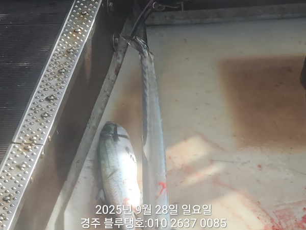 20250928_084431.jpg