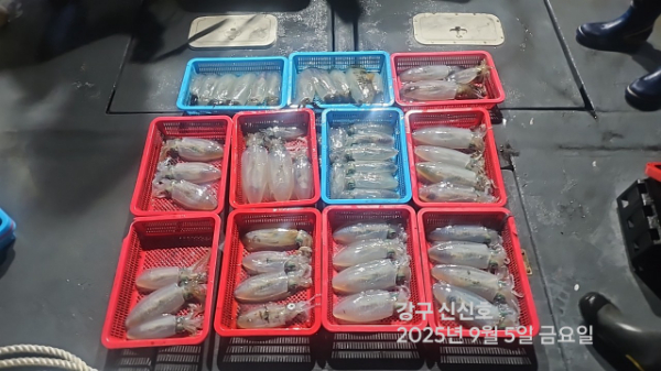신신낚시 강구점 신신호_사진_20250906_14.jpg