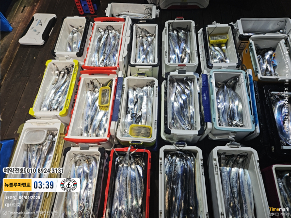 2025-09-09 03.39.44_대한민국_(제목-뉴블루마린호)_(예약전화 010 8924 3131).jpg